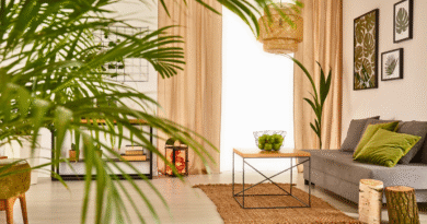 plantas