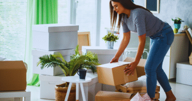 Organização da casa