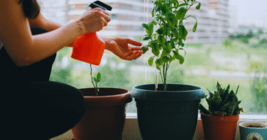 Jardins em pequenos espaços