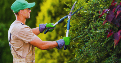 como adaptar seu jardim às novas temperaturas