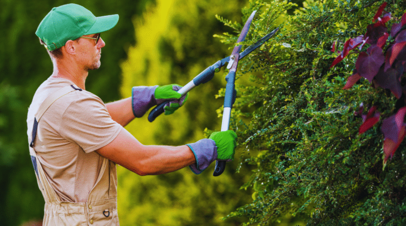 como adaptar seu jardim às novas temperaturas