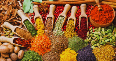 cultivo de temperos em casa