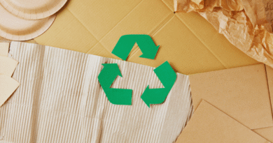 casas com materiais ecológicos